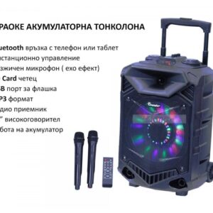 Караоке колона